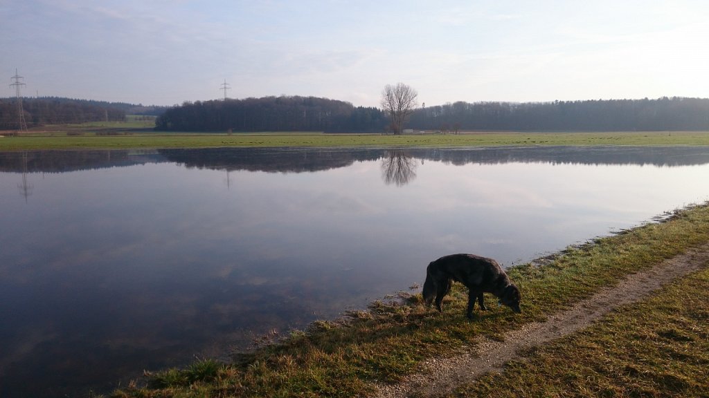 Unsere Lilo - meist im Matsch