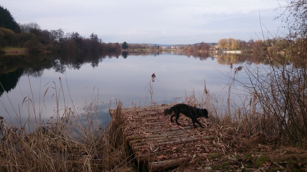 Unsere Lilo - gerne am See