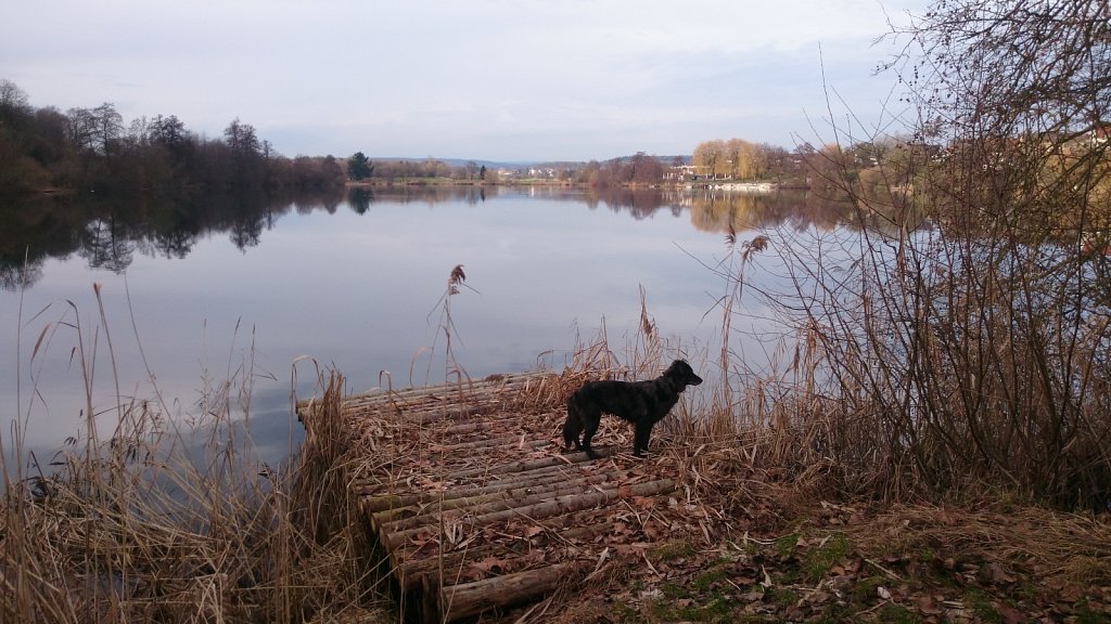 Unsere Lilo - gerne am See