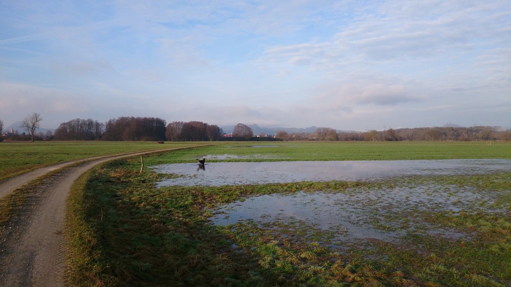 Unsere Lilo - meist im Matsch