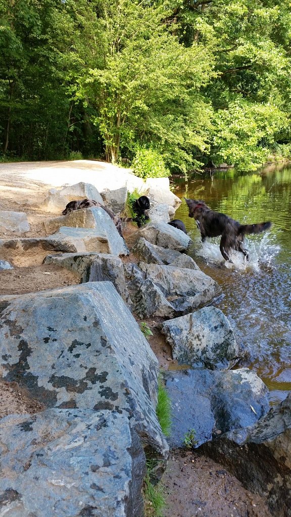 an der Oberschweinstiege