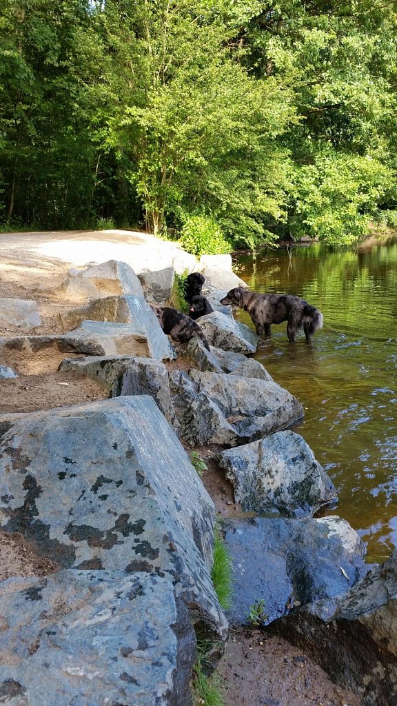 an der Oberschweinstiege