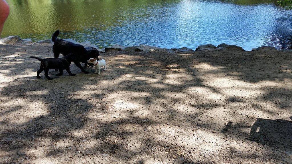 an der Oberschweinstiege