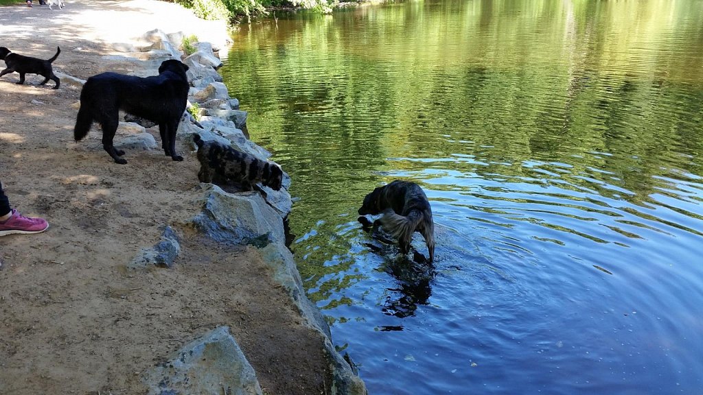 an der Oberschweinstiege