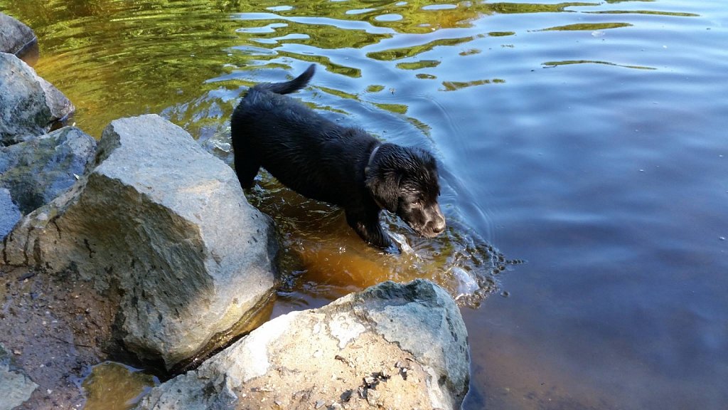 an der Oberschweinstiege