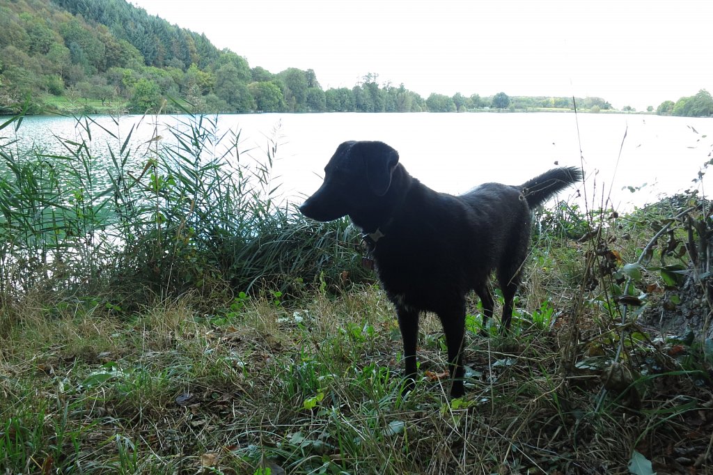 Tante Pria macht auch mal Urlaub