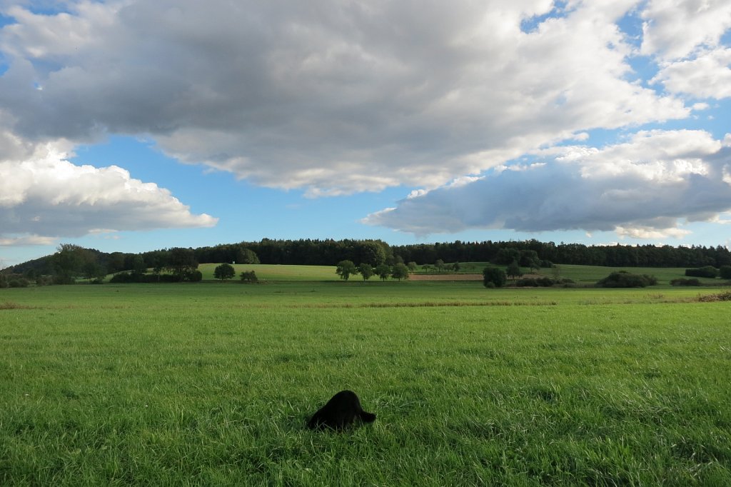 Pria mal wieder auf Mäusejagd