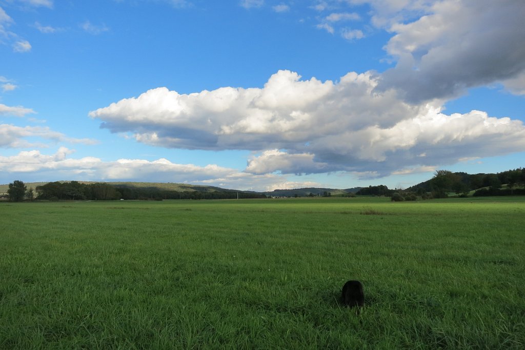 Pria mal wieder auf Mäusejagd