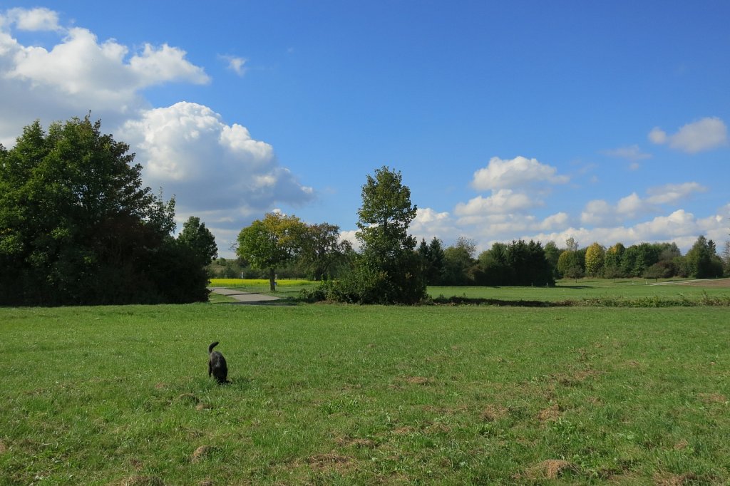 Pria schon wieder auf Mäusejagd