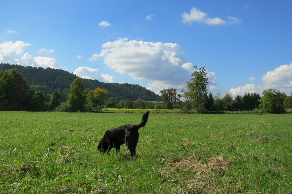 Pria schon wieder auf Mäusejagd