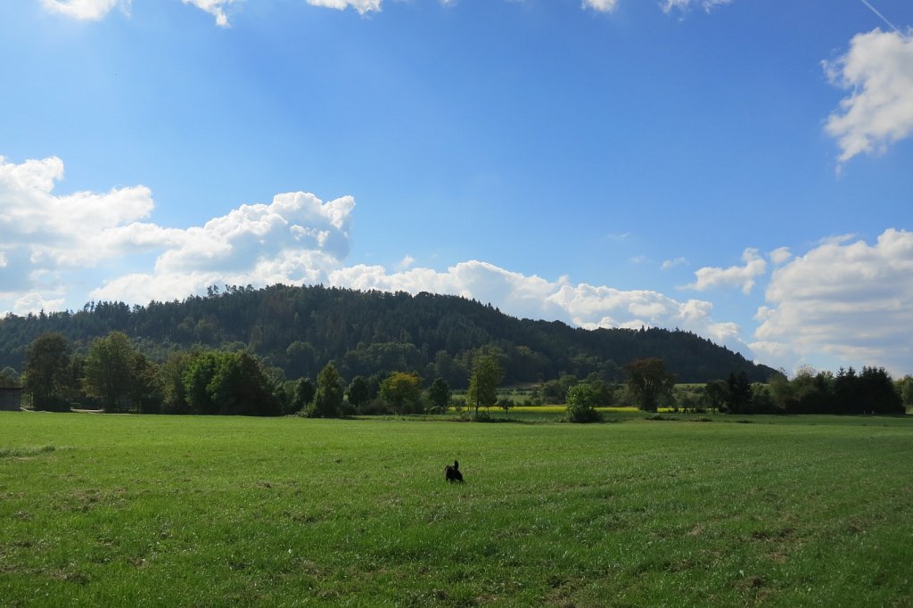 Pria schon wieder auf Mäusejagd