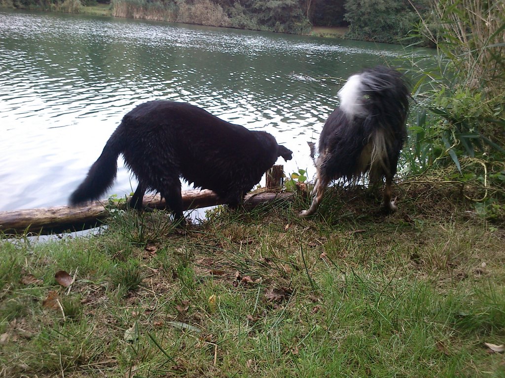 Stöbern am Oberwaldsee