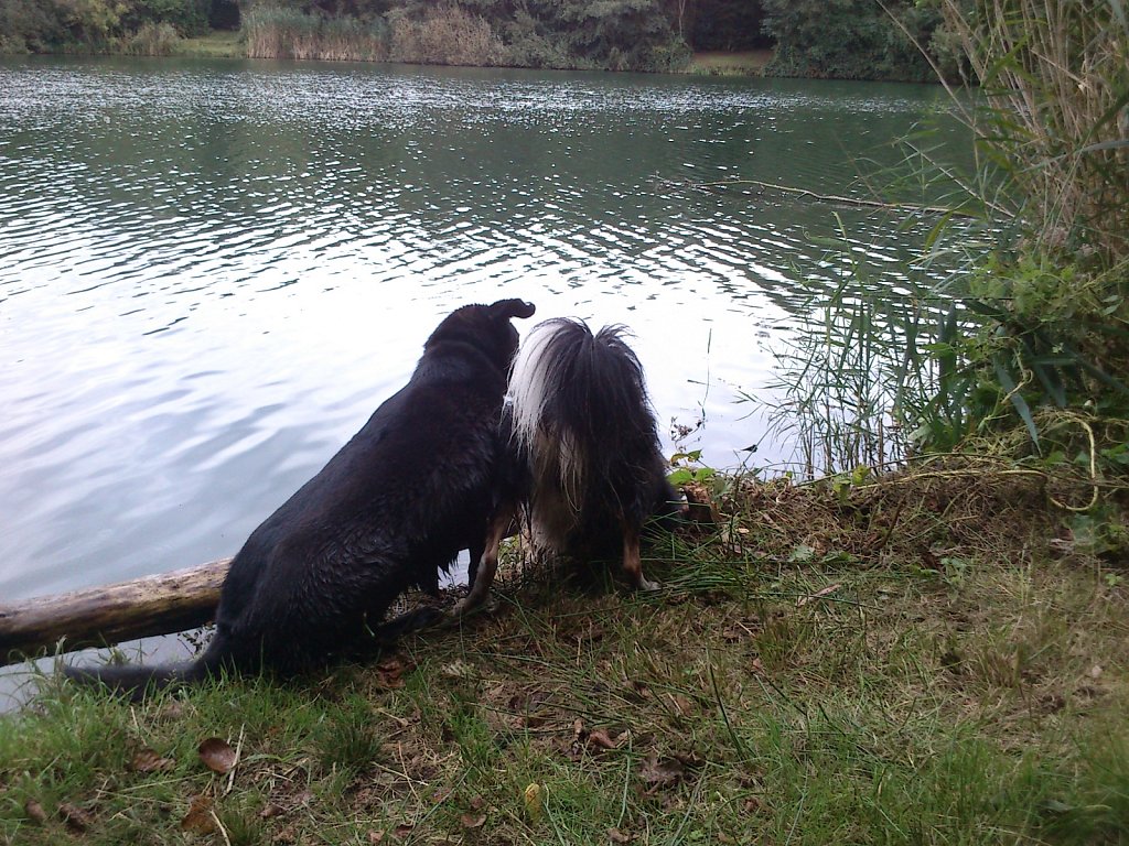 Stöbern am Oberwaldsee