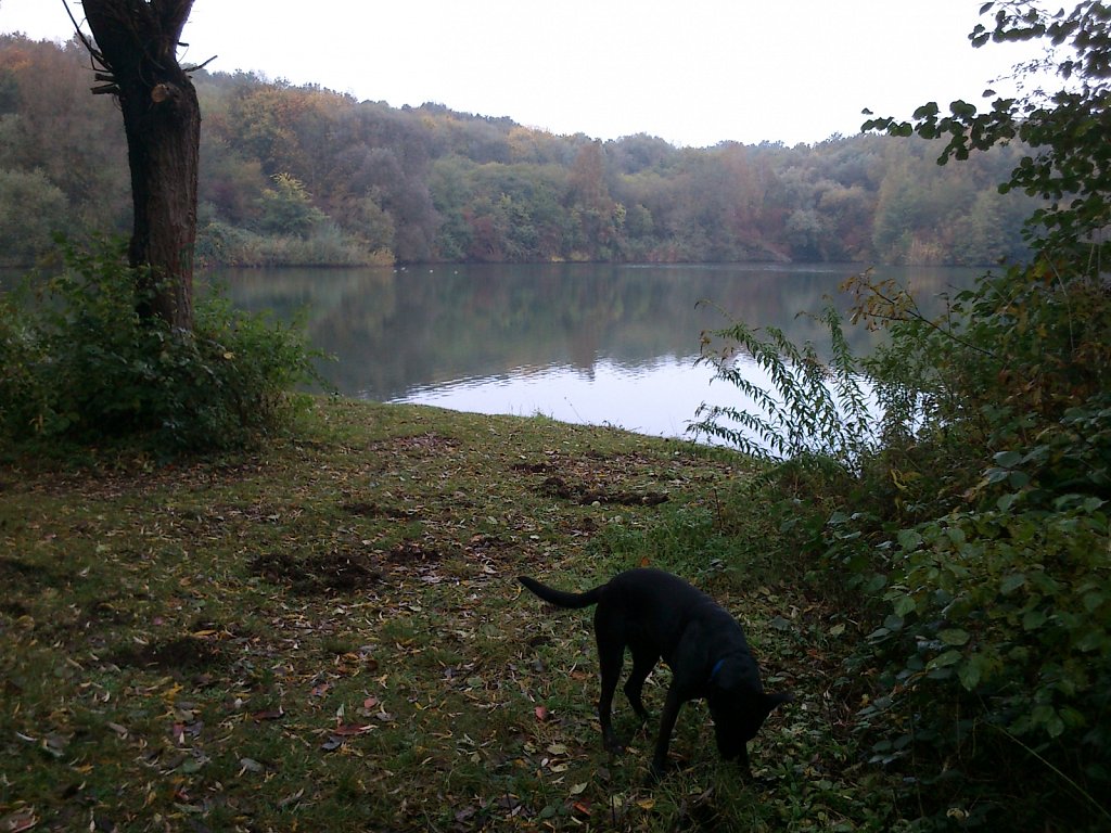 Lula am Oberwaldsee