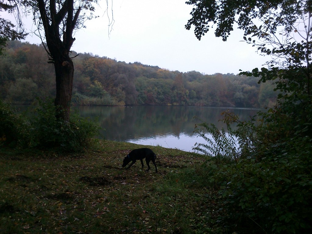 Lula am Oberwaldsee