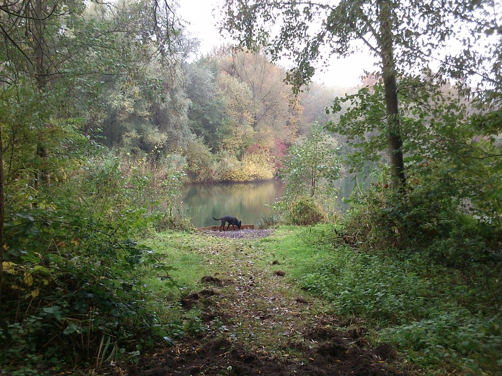 Lula am Oberwaldsee