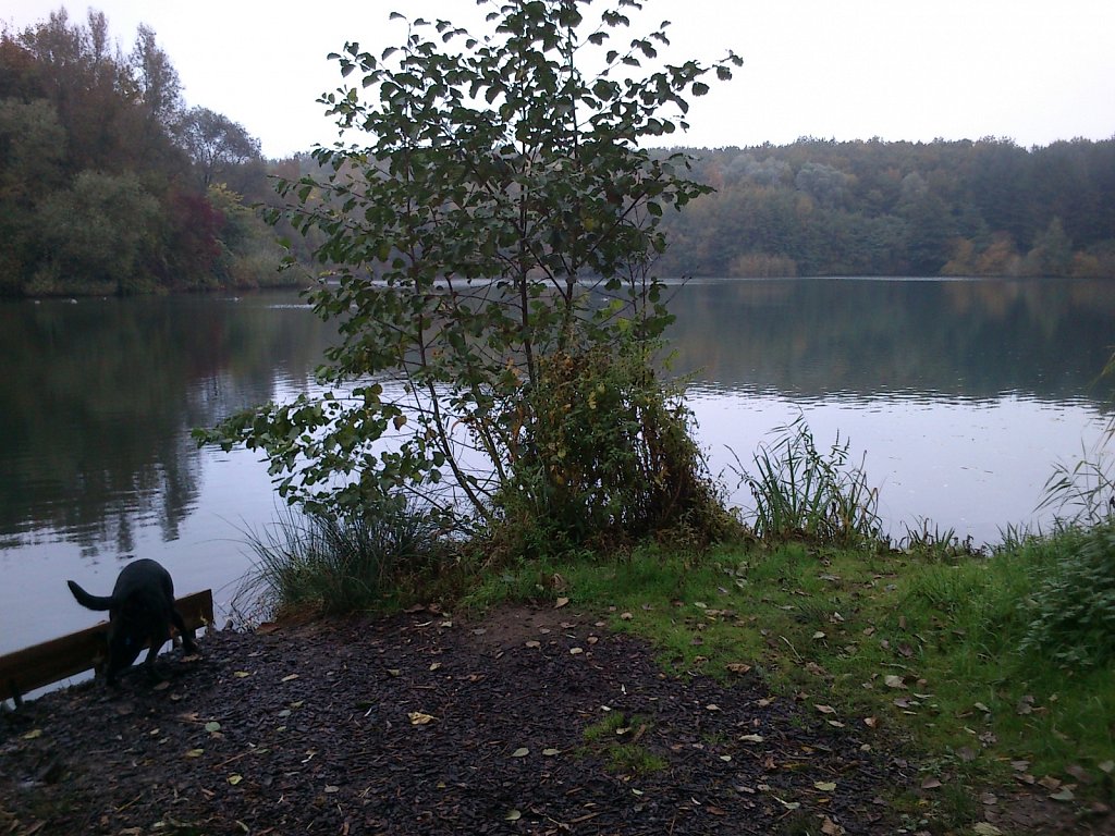 Lula am Oberwaldsee