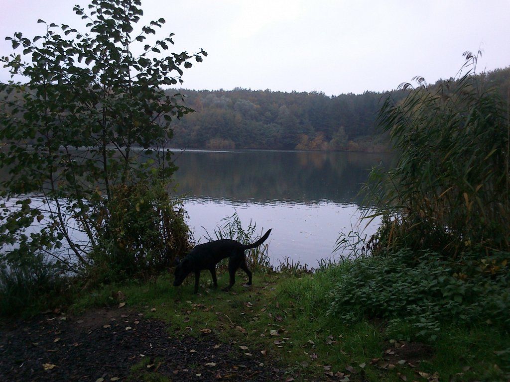 Lula am Oberwaldsee