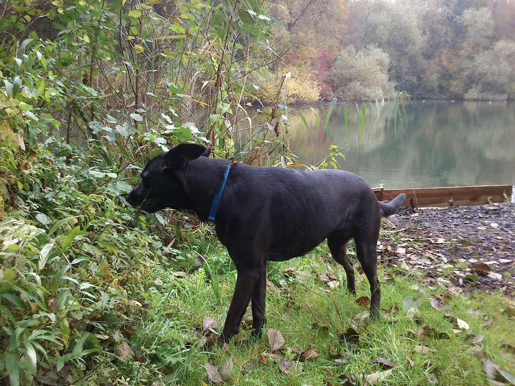 Lula am Oberwaldsee