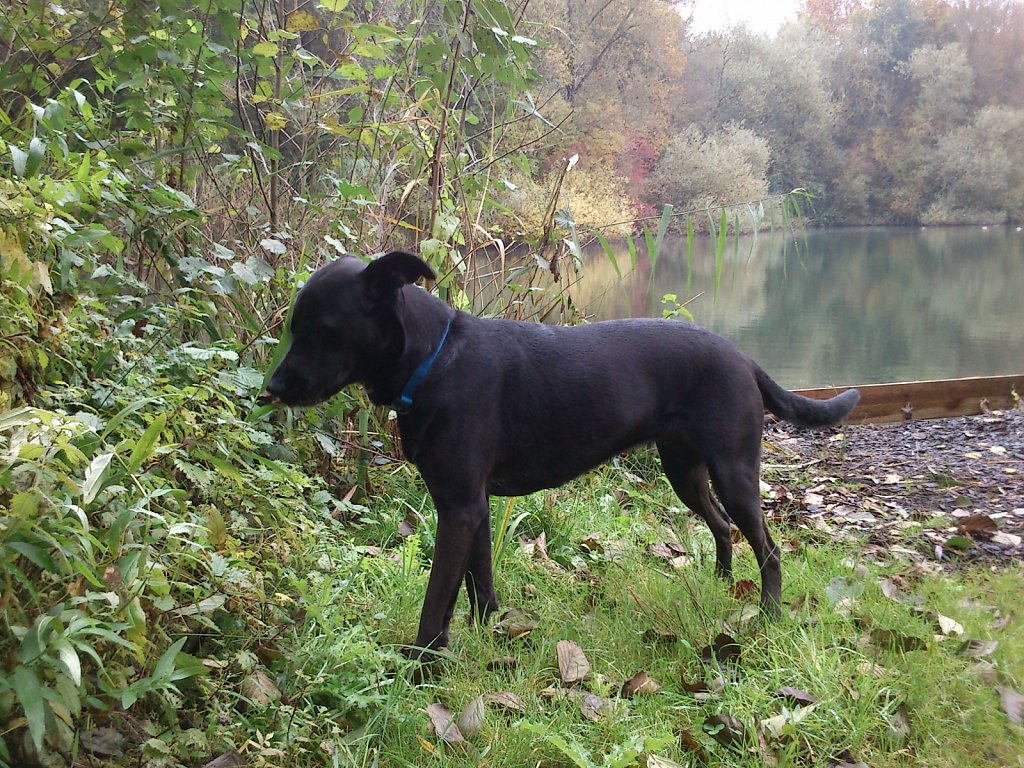 Lula am Oberwaldsee