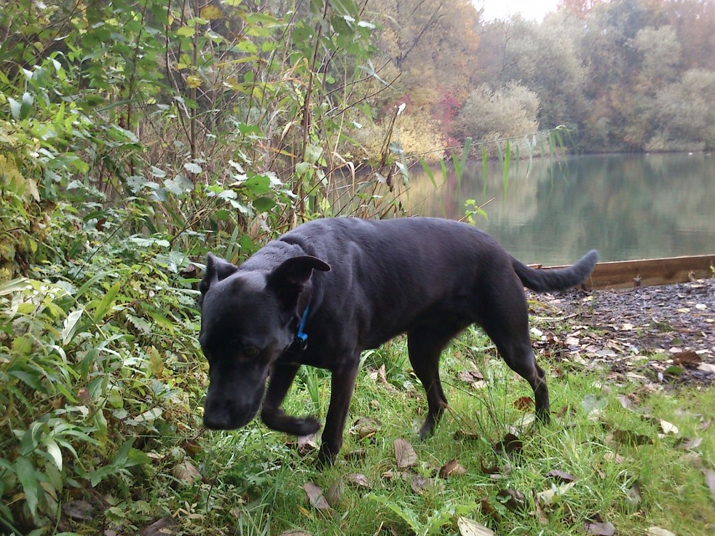 Lula am Oberwaldsee