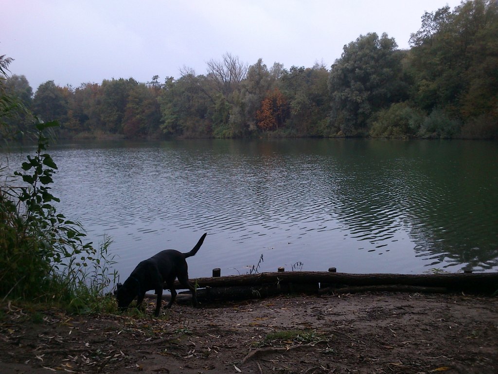 Lula am Oberwaldsee