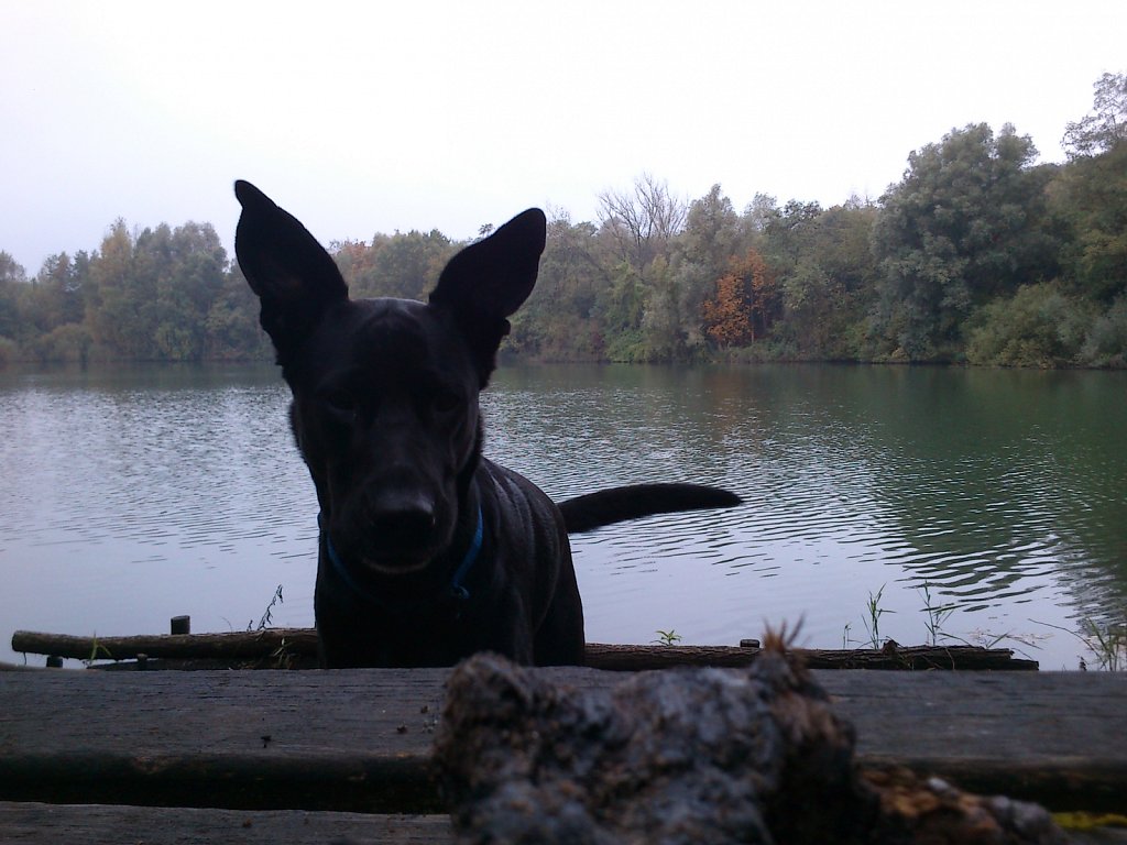 Lula am Oberwaldsee