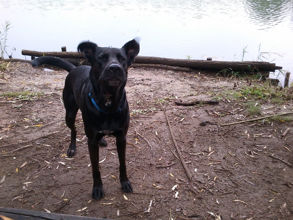 Lula am Oberwaldsee