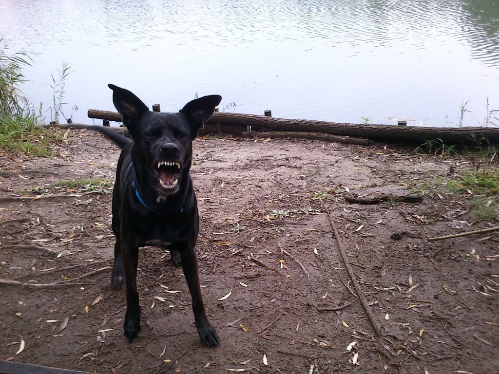 Lula am Oberwaldsee