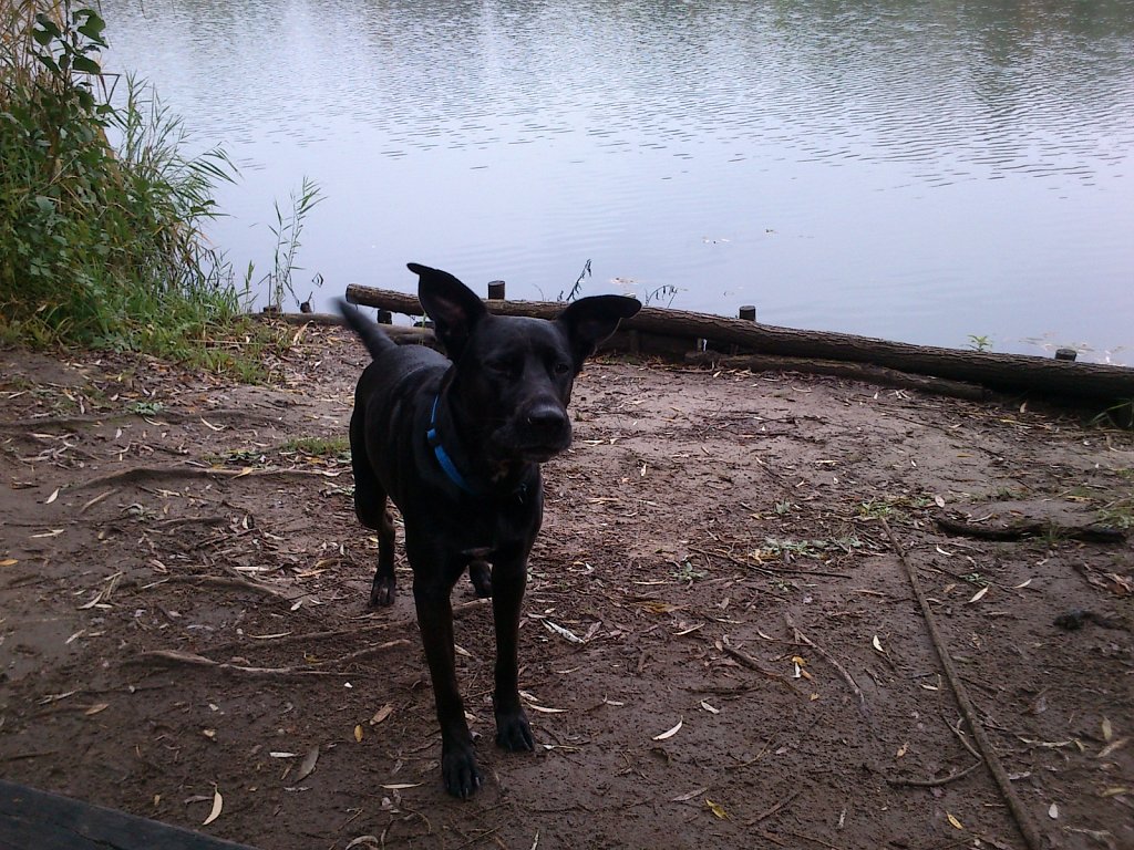 Lula am Oberwaldsee