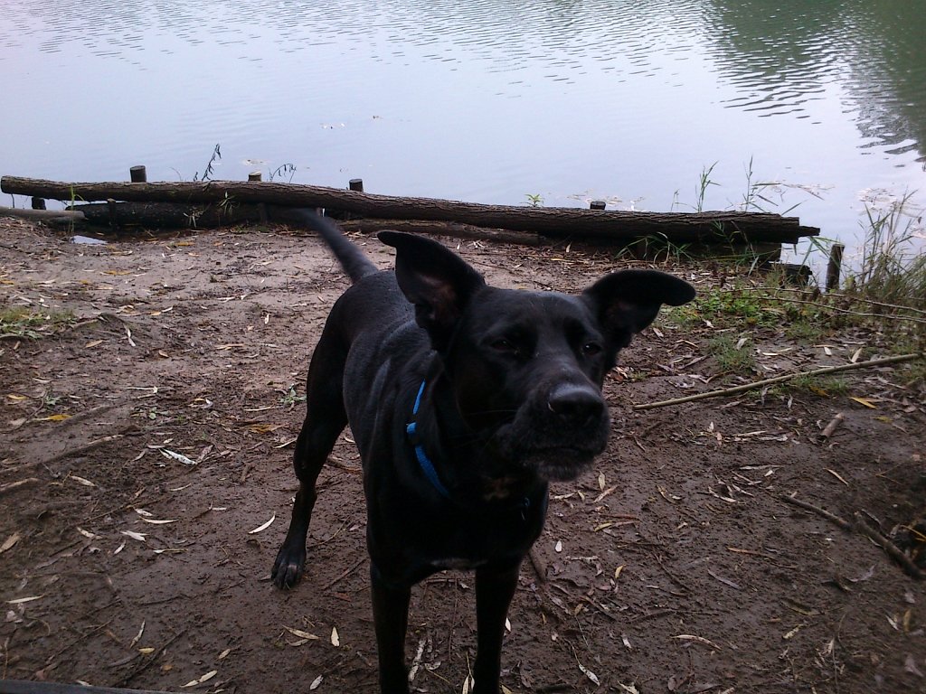 Lula am Oberwaldsee