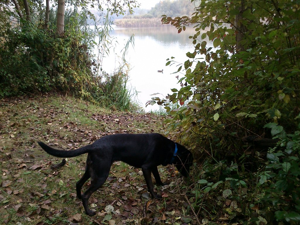 Lula am Oberwaldsee