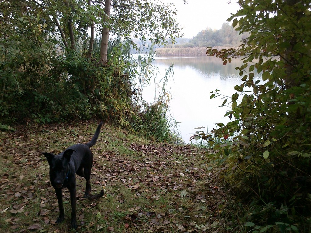 Lula am Oberwaldsee