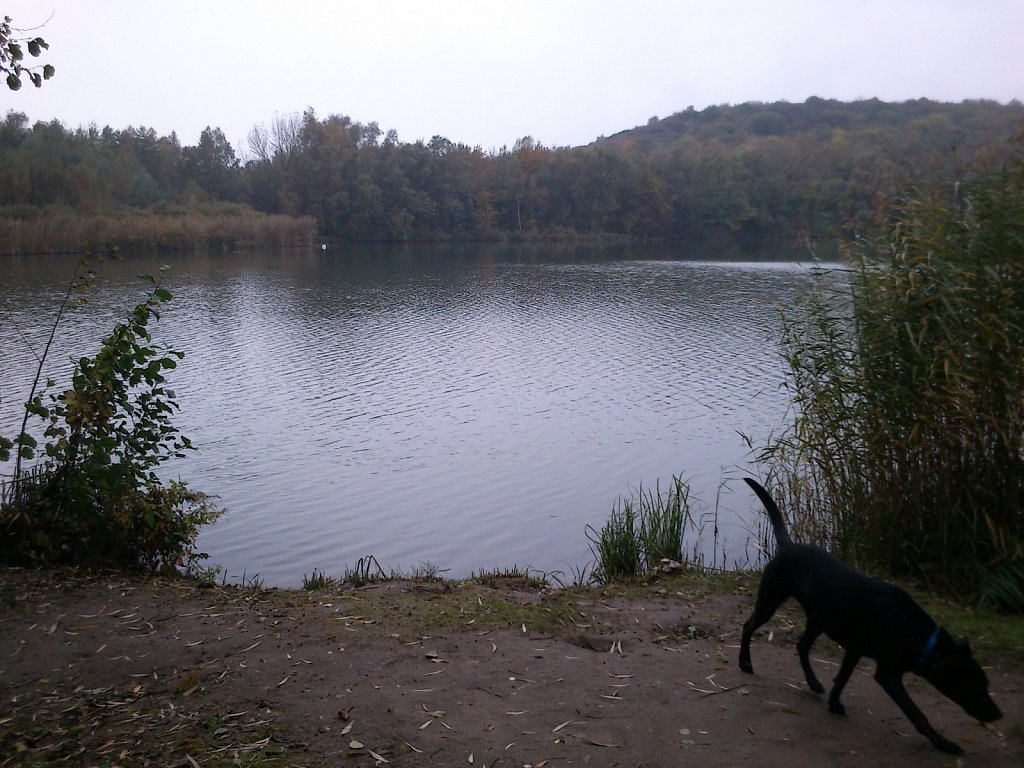 Lula am Oberwaldsee