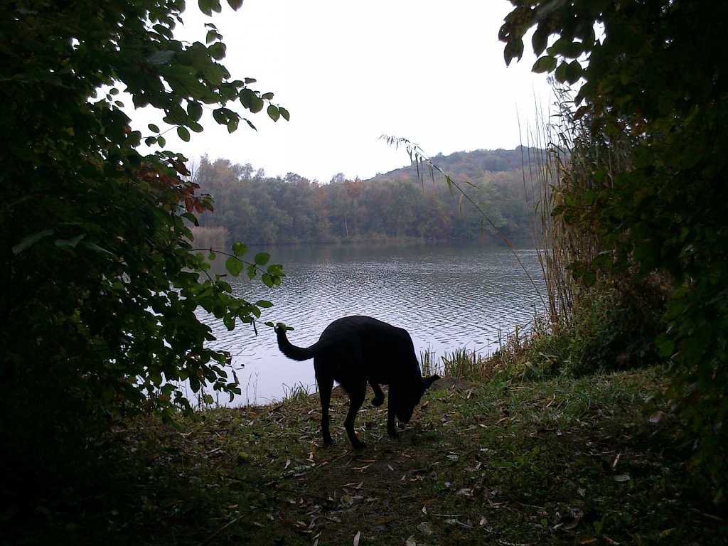 Lula am Oberwaldsee