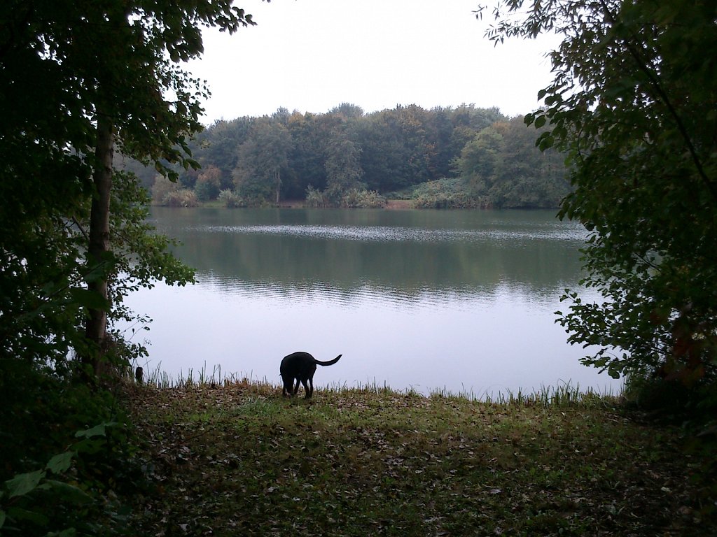 Lula am Oberwaldsee