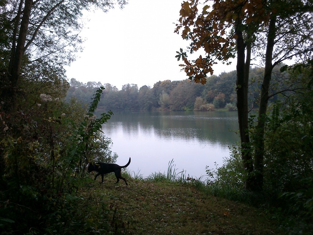 Lula am Oberwaldsee