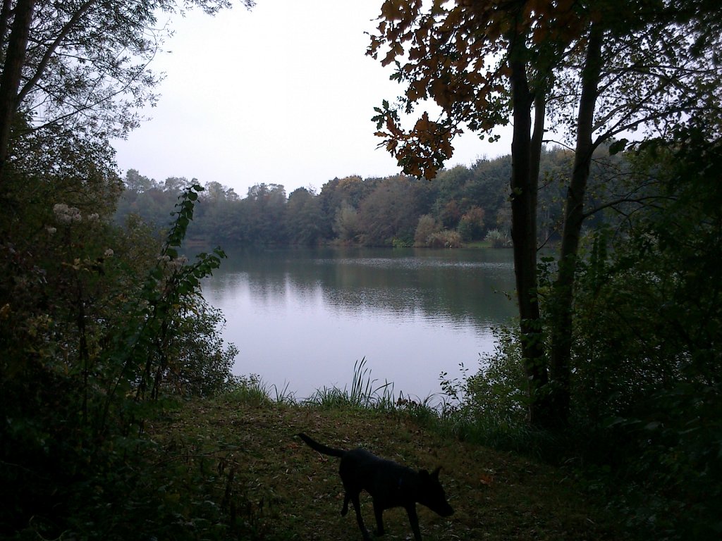 Lula am Oberwaldsee