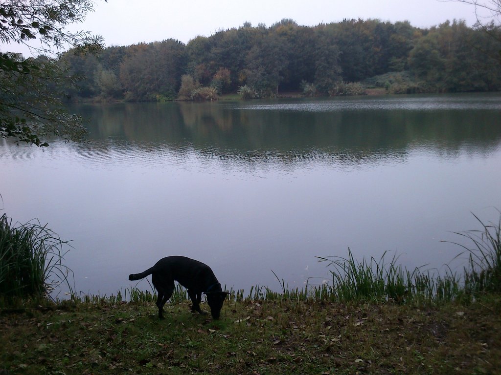 Lula am Oberwaldsee