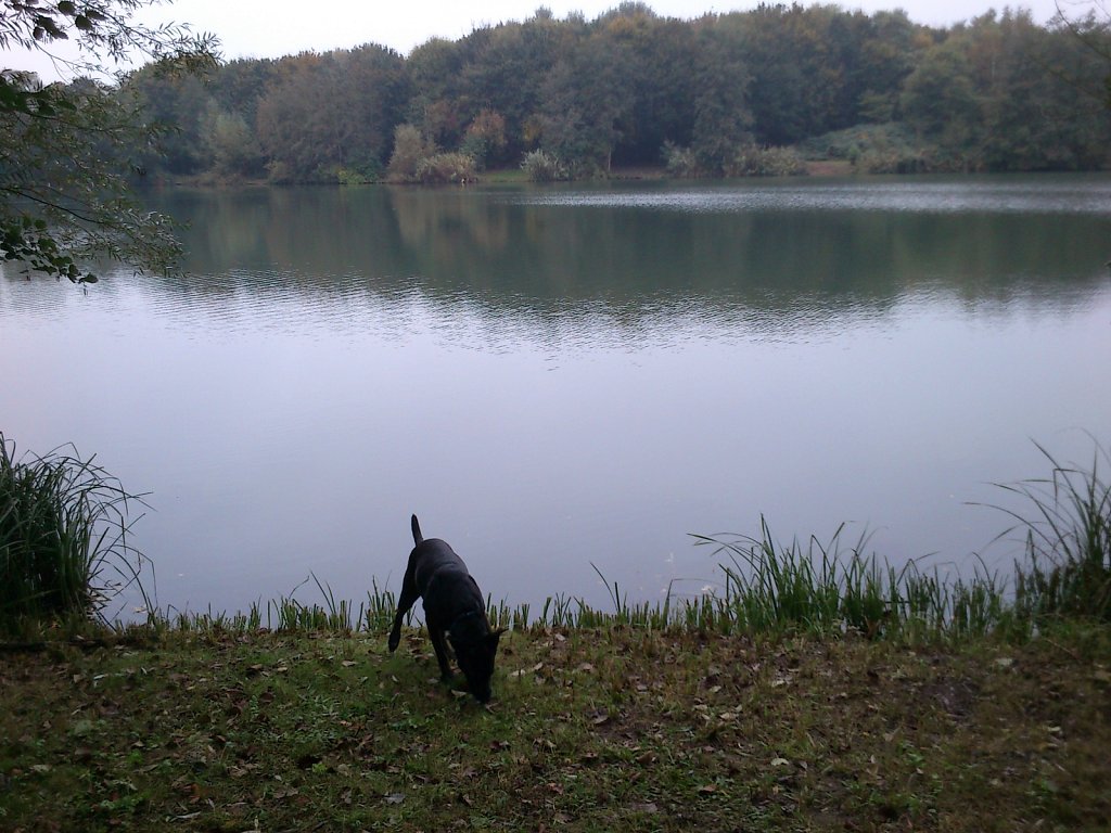 Lula am Oberwaldsee