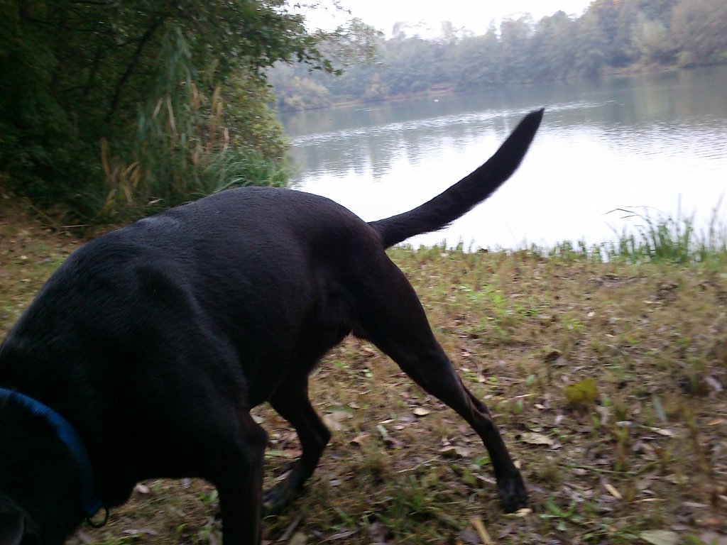 Lula am Oberwaldsee