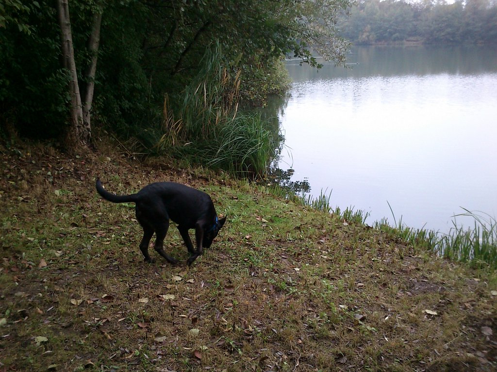 Lula am Oberwaldsee