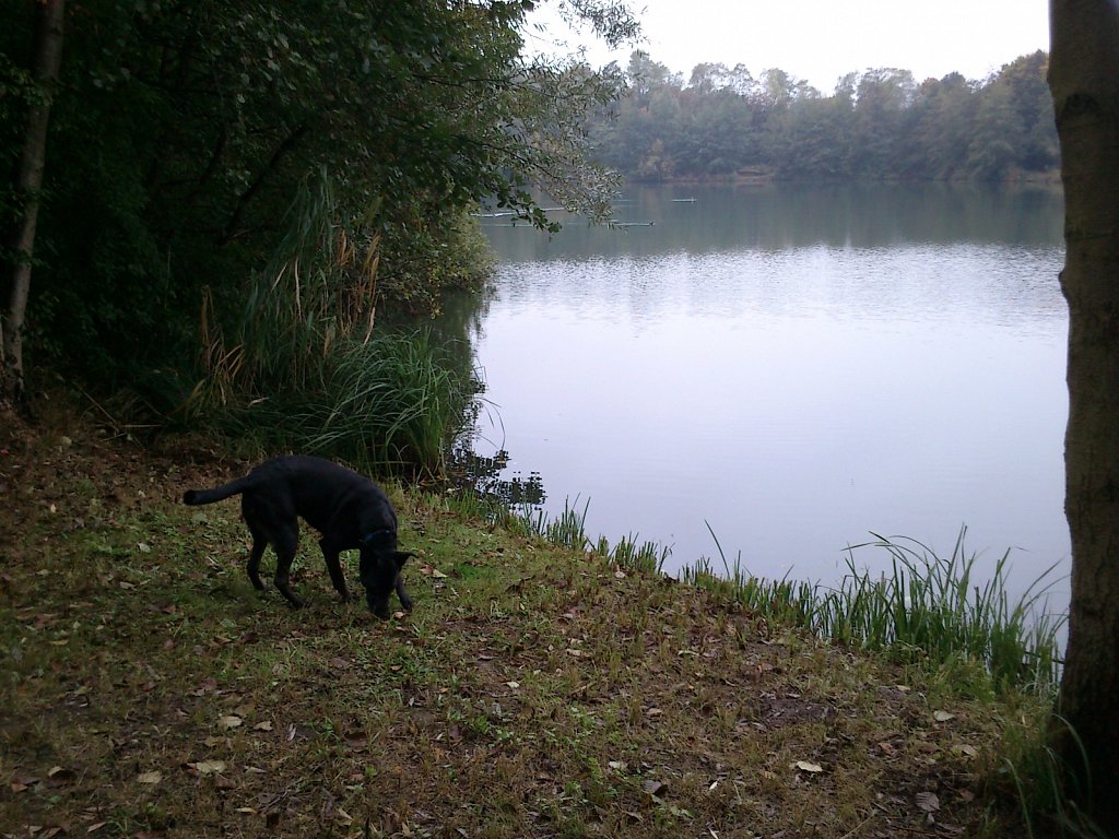 Lula am Oberwaldsee