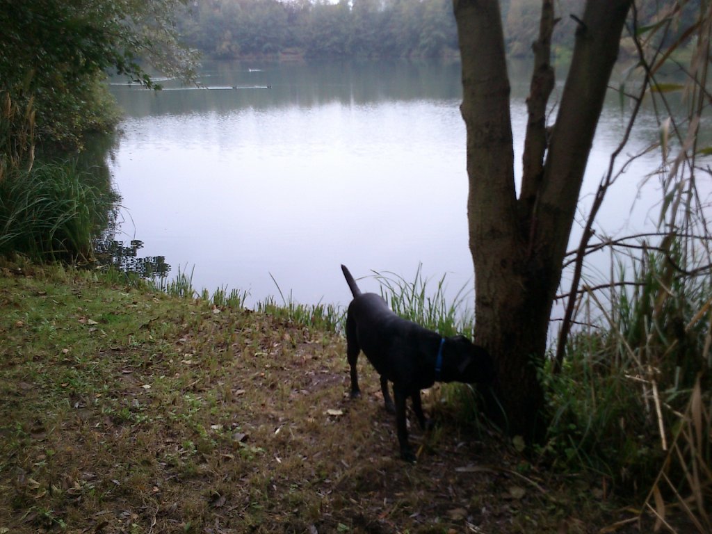 Lula am Oberwaldsee