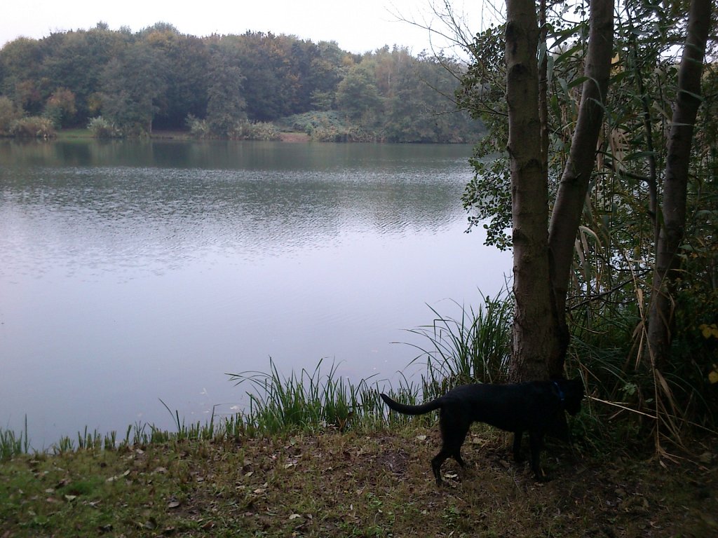 Lula am Oberwaldsee