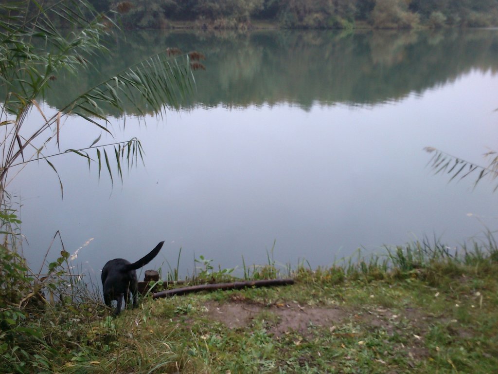 Lula am Oberwaldsee