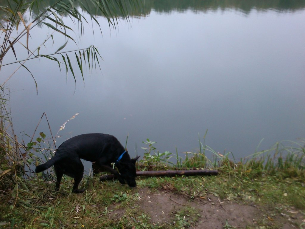 Lula am Oberwaldsee