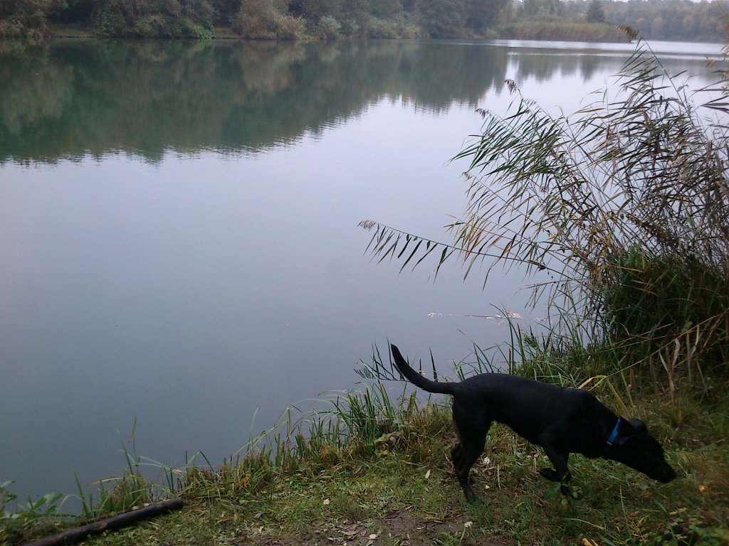 Lula am Oberwaldsee