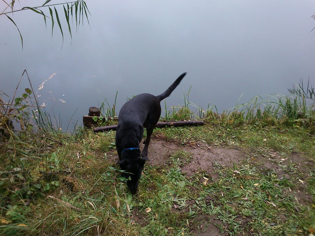 Lula am Oberwaldsee