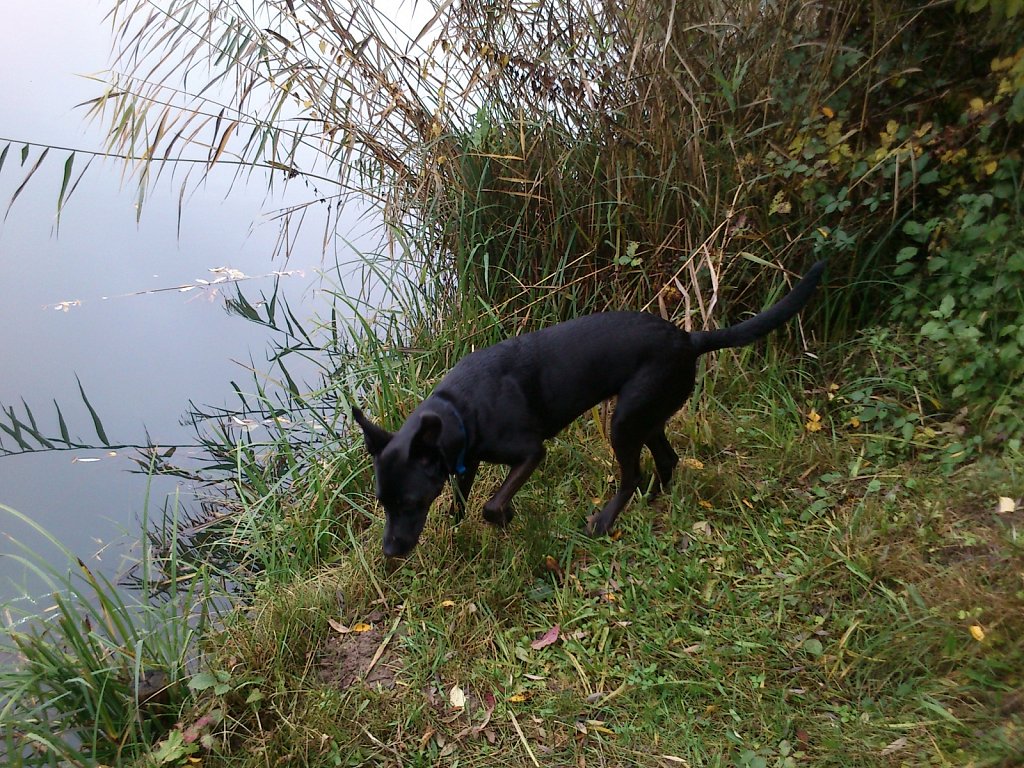 Lula am Oberwaldsee